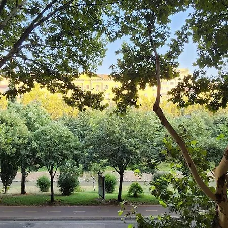 Appartamento Like Shallvaret Centre Tirana